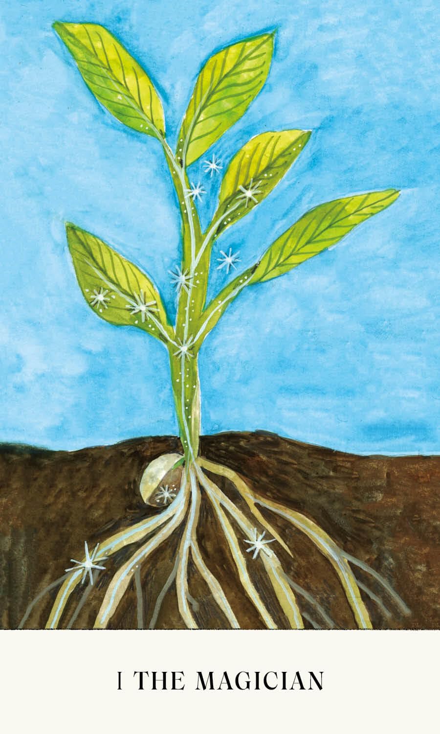 Illustration of a plant with roots emerging from soil against a blue sky. Soul Tarot by Lindsay Mack and Chelsea Granger featuring contemporary artwork and a 78-card tarot deck created for healing, self-discovery, and intuitive practice.