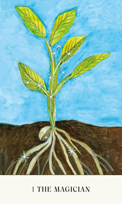 Illustration of a plant with roots emerging from soil against a blue sky. Soul Tarot by Lindsay Mack and Chelsea Granger featuring contemporary artwork and a 78-card tarot deck created for healing, self-discovery, and intuitive practice.