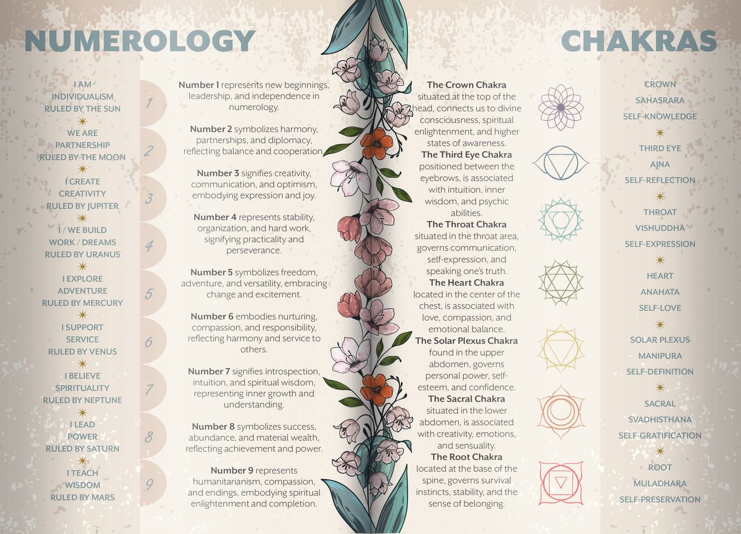 Chart comparing numerology and chakras with floral design