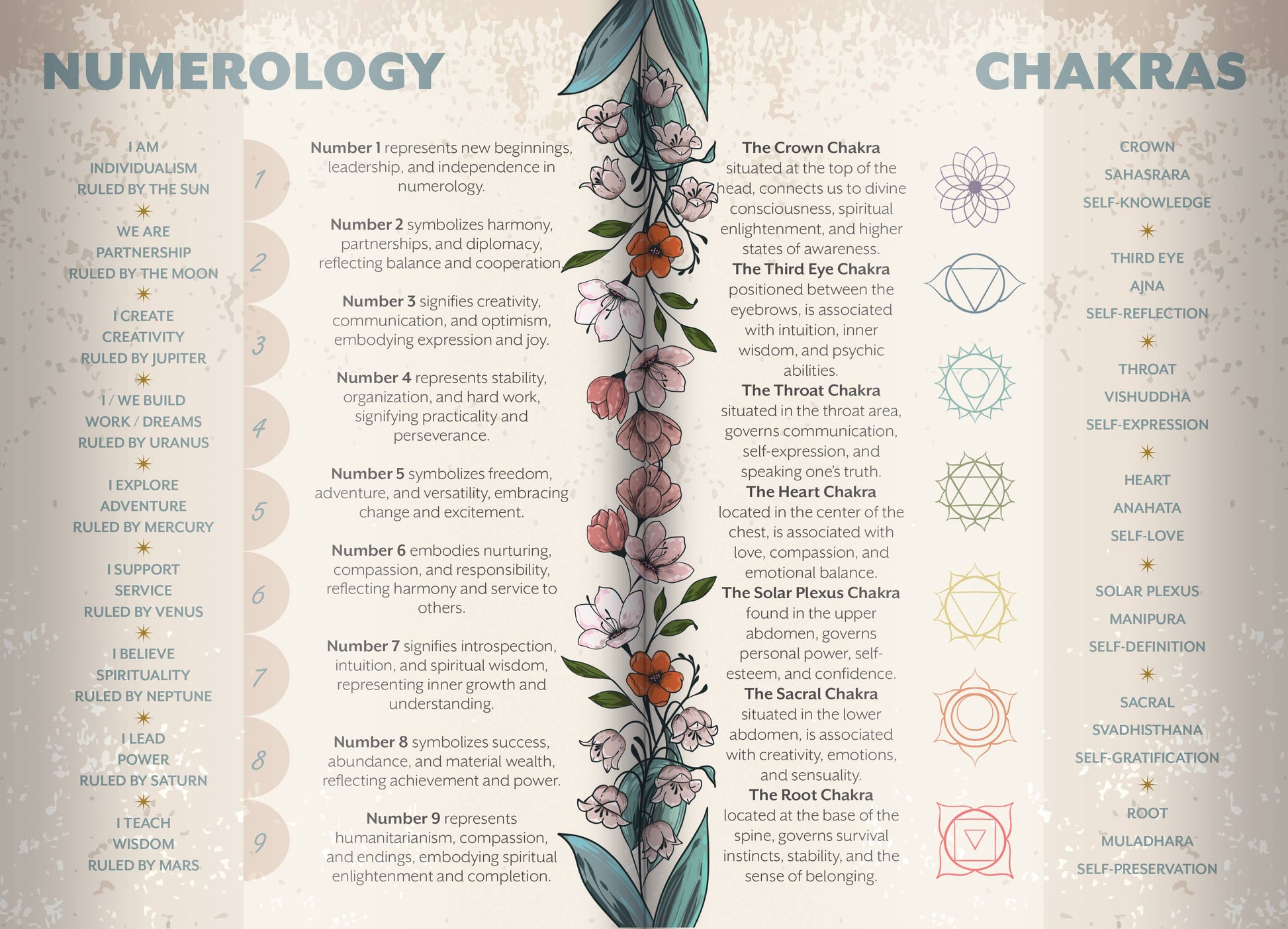 Chart comparing numerology and chakras with floral design