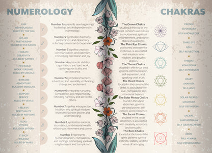 Chart comparing numerology and chakras with floral design