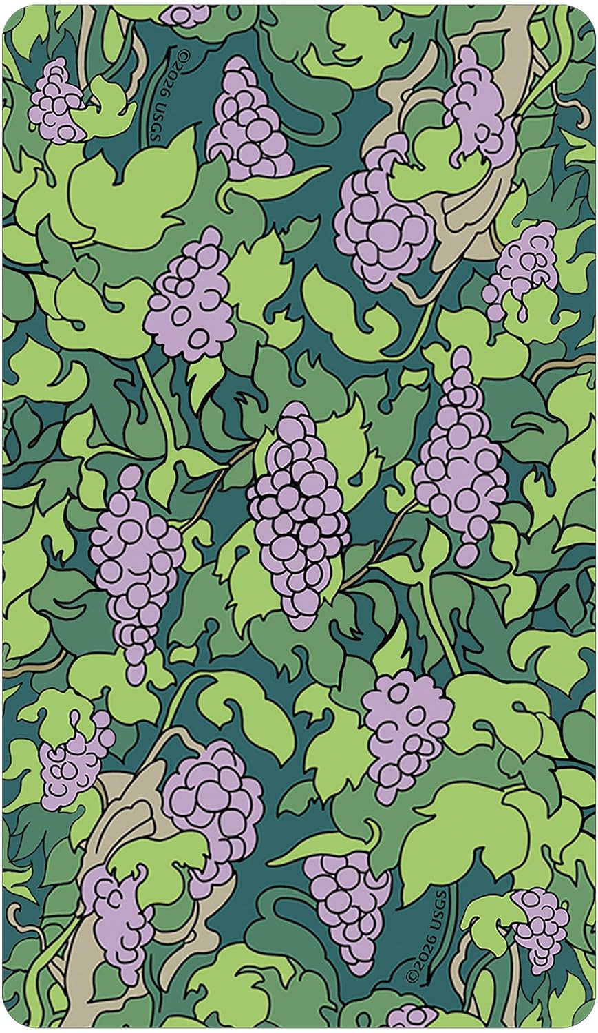 Florana Tarot deck by James Ferry featuring botanical artwork and floral tarot symbolism