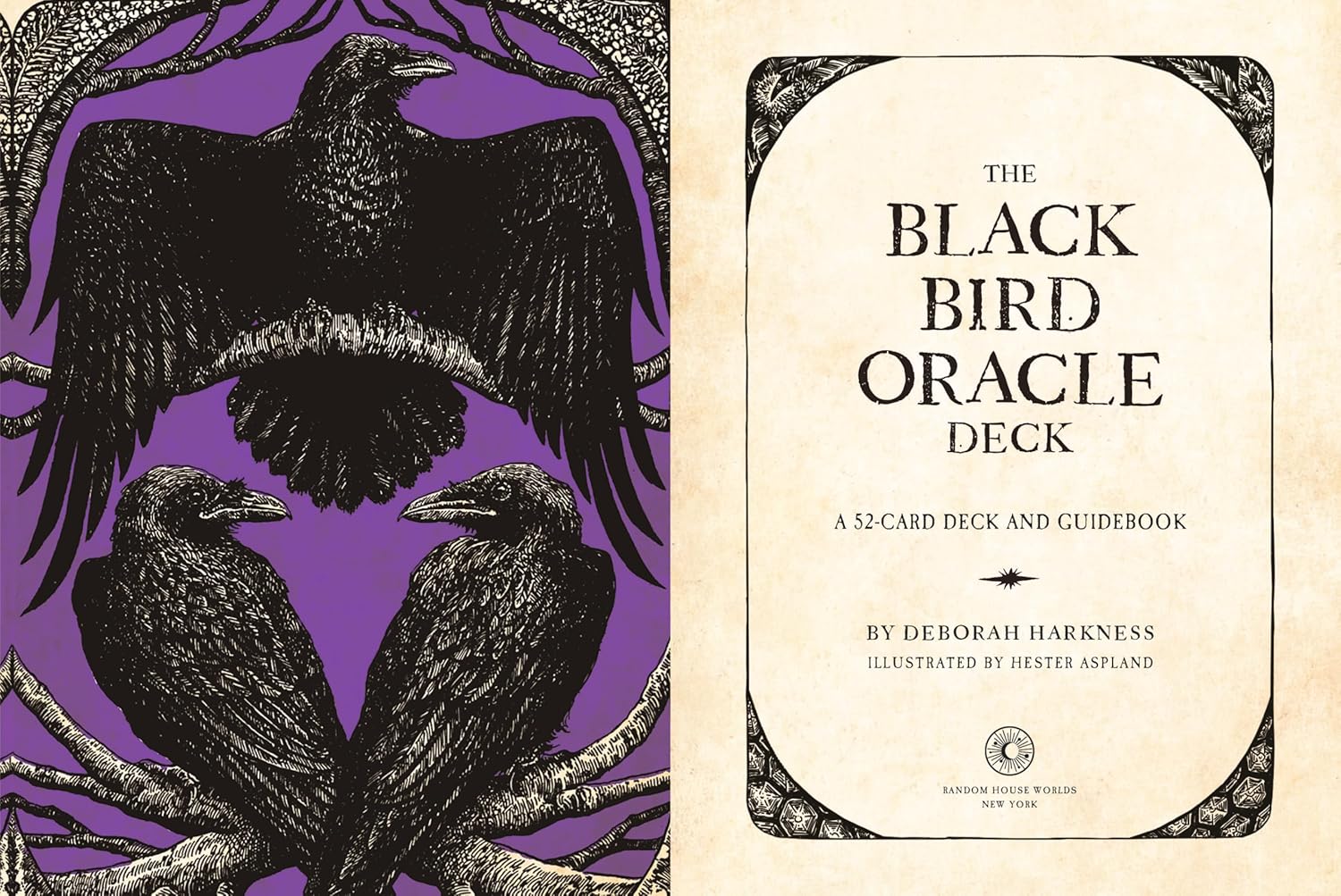 Front cover of 'The Black Bird Oracle Deck' showing a purple background with black raven illustrations on the left and the deck's title panel on the right, on an off-white background.