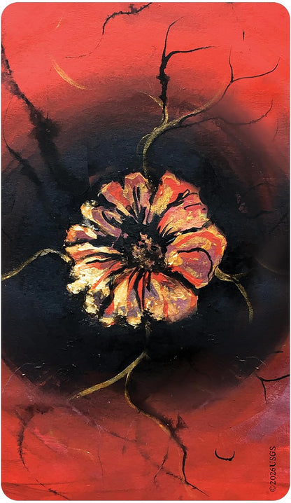 An abstract floral painting featuring a central flower with orange, red, and cream petals, set against a dark black background with branching dark tree-like lines and a vivid red textured field.