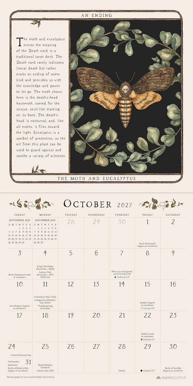 A monthly calendar page for October 2021 featuring a vintage-style art print of a moth and eucalyptus leaves at the top, with a beige calendar grid below.
Woodland Wardens 2027 Mini Wall Calendar by Jessica Roux featuring botanical illustrations, woodland animals and seasonal nature artwork inspired by the Woodland Wardens Oracle.