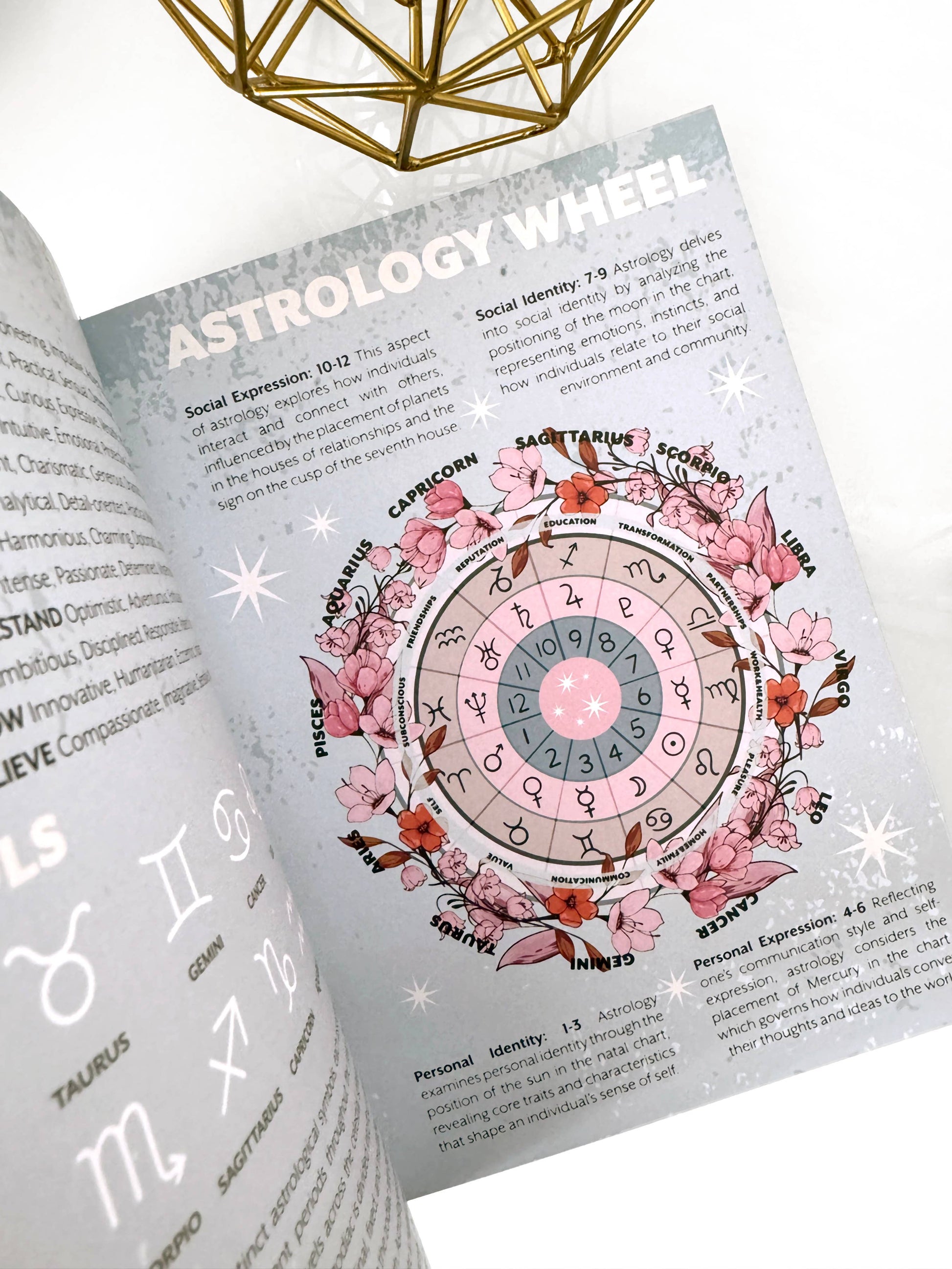 Open book with an astrology wheel illustration on a white background