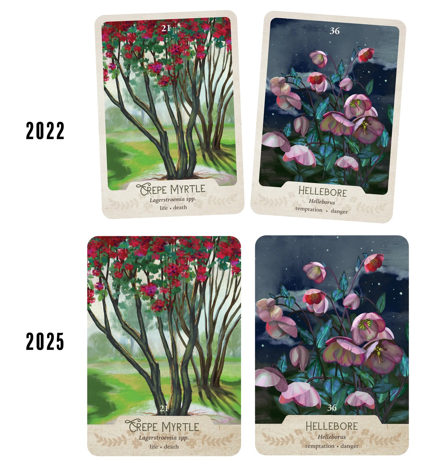Four tarot cards depicting Crepe Myrtle and Hellebore plants with years 2022 and 2025.