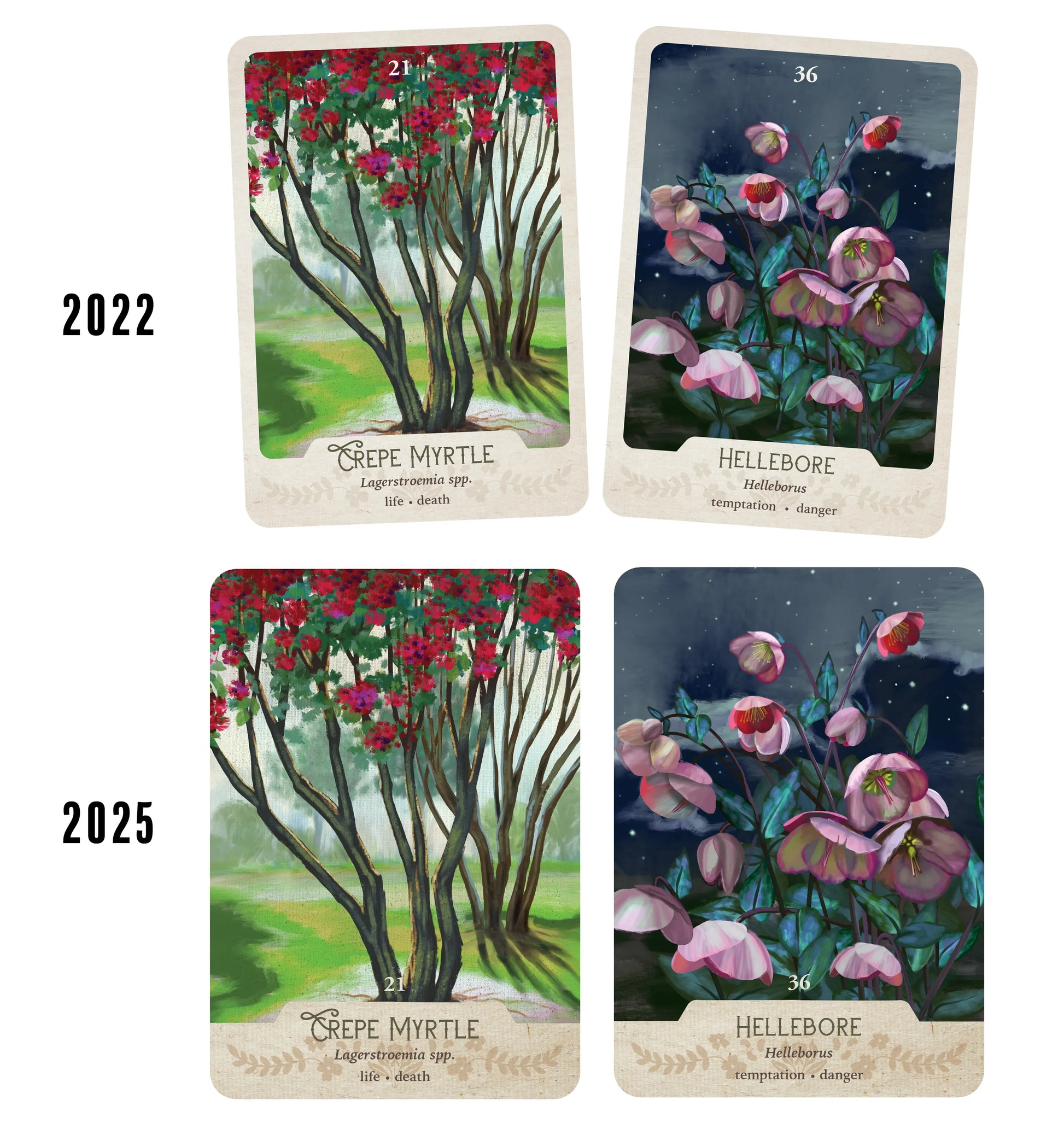 Four tarot cards depicting Crepe Myrtle and Hellebore plants with years 2022 and 2025.