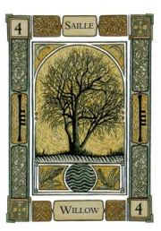 CELTIC TREE ORACLE New Edition