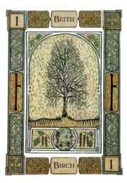 CELTIC TREE ORACLE New Edition