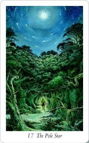 Wildwood Tarot deck nature based tarot with Celtic symbolism and forest themed artwork UK