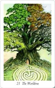Wildwood Tarot deck nature based tarot with Celtic symbolism and forest themed artwork UK