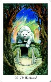 Wildwood Tarot deck nature based tarot with Celtic symbolism and forest themed artwork UK
