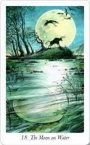 Wildwood Tarot deck nature based tarot with Celtic symbolism and forest themed artwork UK