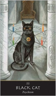 WITCHES' ORACLE - New Edition