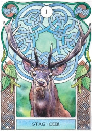 CELTIC ASTROLOGY ORACLE CARDS