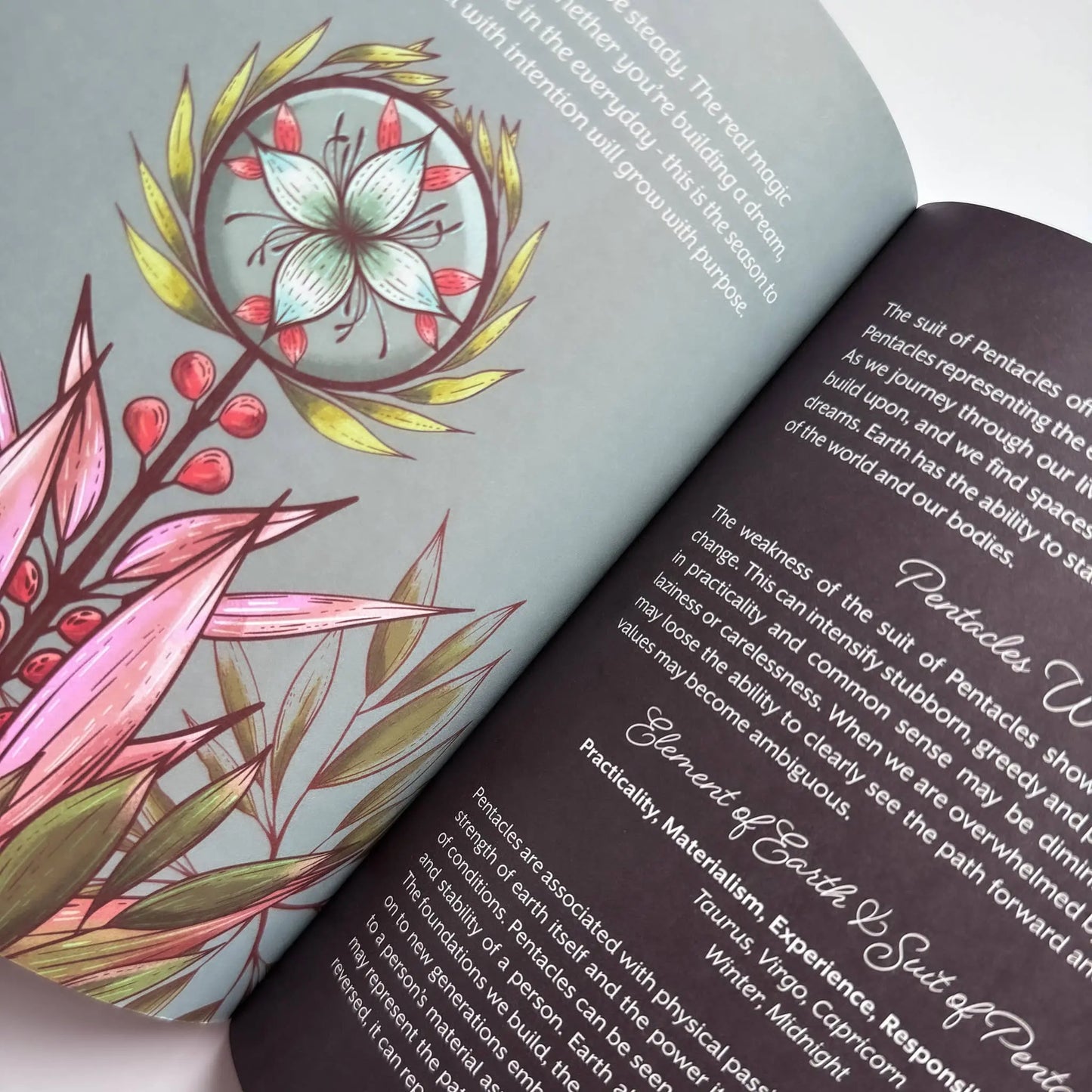 Open book with colorful floral illustration on one page and text on the other Meraki workbook for tarot and crystal work 