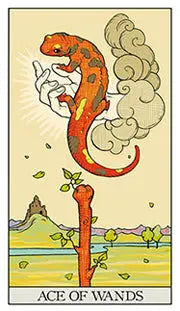 The ace of wands After tarot card with Salamader 