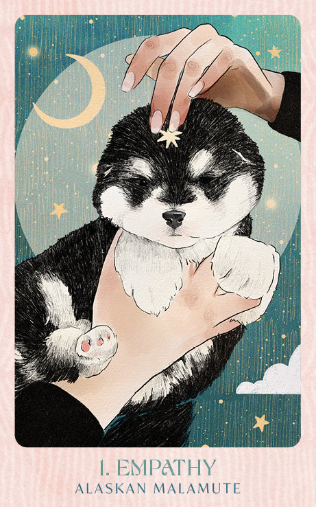 Ask the Canine Sages Oracle featuring illustrated canine spirit guides by Ana Novaes with guidebook by Tess Whitehurst.