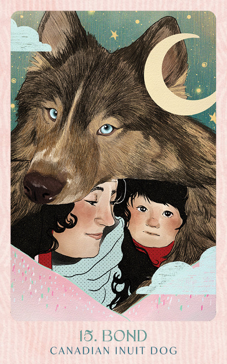 Ask the Canine Sages Oracle featuring illustrated canine spirit guides by Ana Novaes with guidebook by Tess Whitehurst.