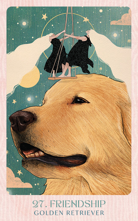 Ask the Canine Sages Oracle featuring illustrated canine spirit guides by Ana Novaes with guidebook by Tess Whitehurst.