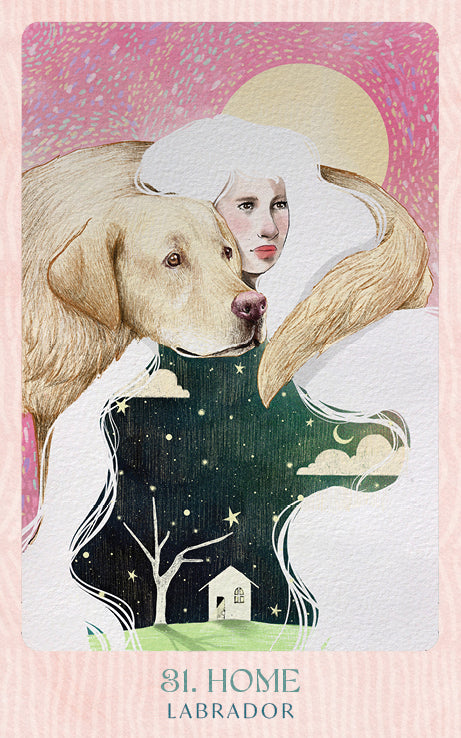 Ask the Canine Sages Oracle featuring illustrated canine spirit guides by Ana Novaes with guidebook by Tess Whitehurst.