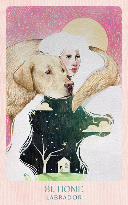 Ask the Canine Sages Oracle featuring illustrated canine spirit guides by Ana Novaes with guidebook by Tess Whitehurst.