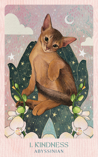Ask the Feline Sages Oracle featuring illustrated cat spirit guides by Ana Novaes with guidebook by Tess Whitehurst.