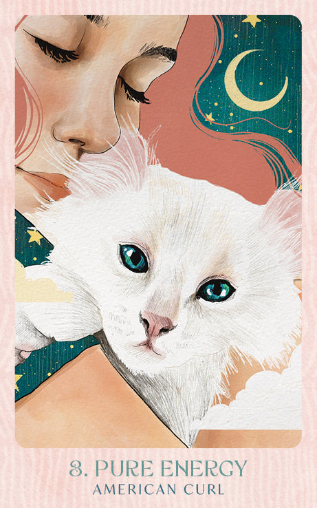 Ask the Feline Sages Oracle featuring illustrated cat spirit guides by Ana Novaes with guidebook by Tess Whitehurst.
