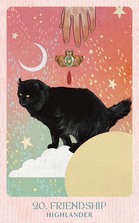Ask the Feline Sages Oracle featuring illustrated cat spirit guides by Ana Novaes with guidebook by Tess Whitehurst.