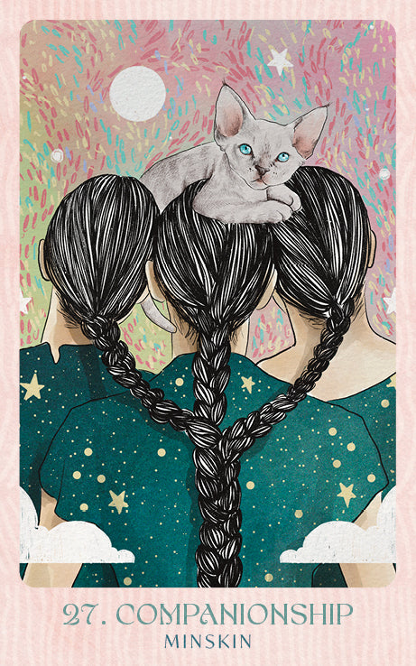 Ask the Feline Sages Oracle featuring illustrated cat spirit guides by Ana Novaes with guidebook by Tess Whitehurst.