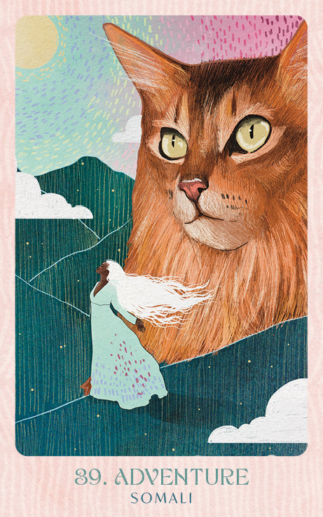Ask the Feline Sages Oracle featuring illustrated cat spirit guides by Ana Novaes with guidebook by Tess Whitehurst.