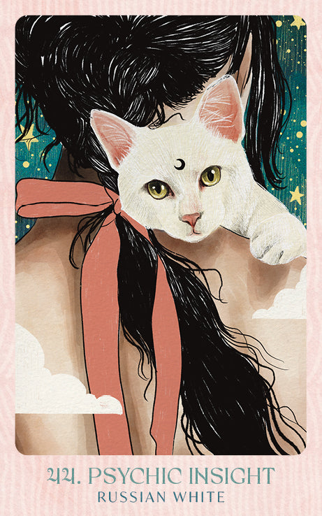 Ask the Feline Sages Oracle featuring illustrated cat spirit guides by Ana Novaes with guidebook by Tess Whitehurst.