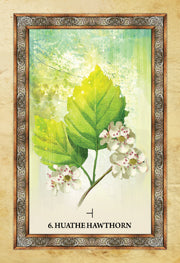 CELTIC TREE ORACLE