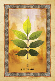 CELTIC TREE ORACLE