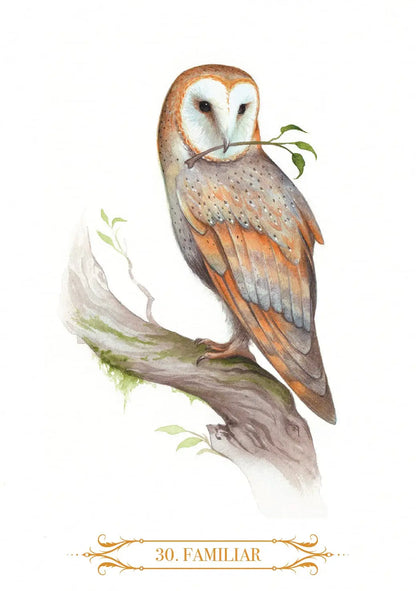 Showing a white background with an owl holding a branch while perched on a tree. Watercolour art 
