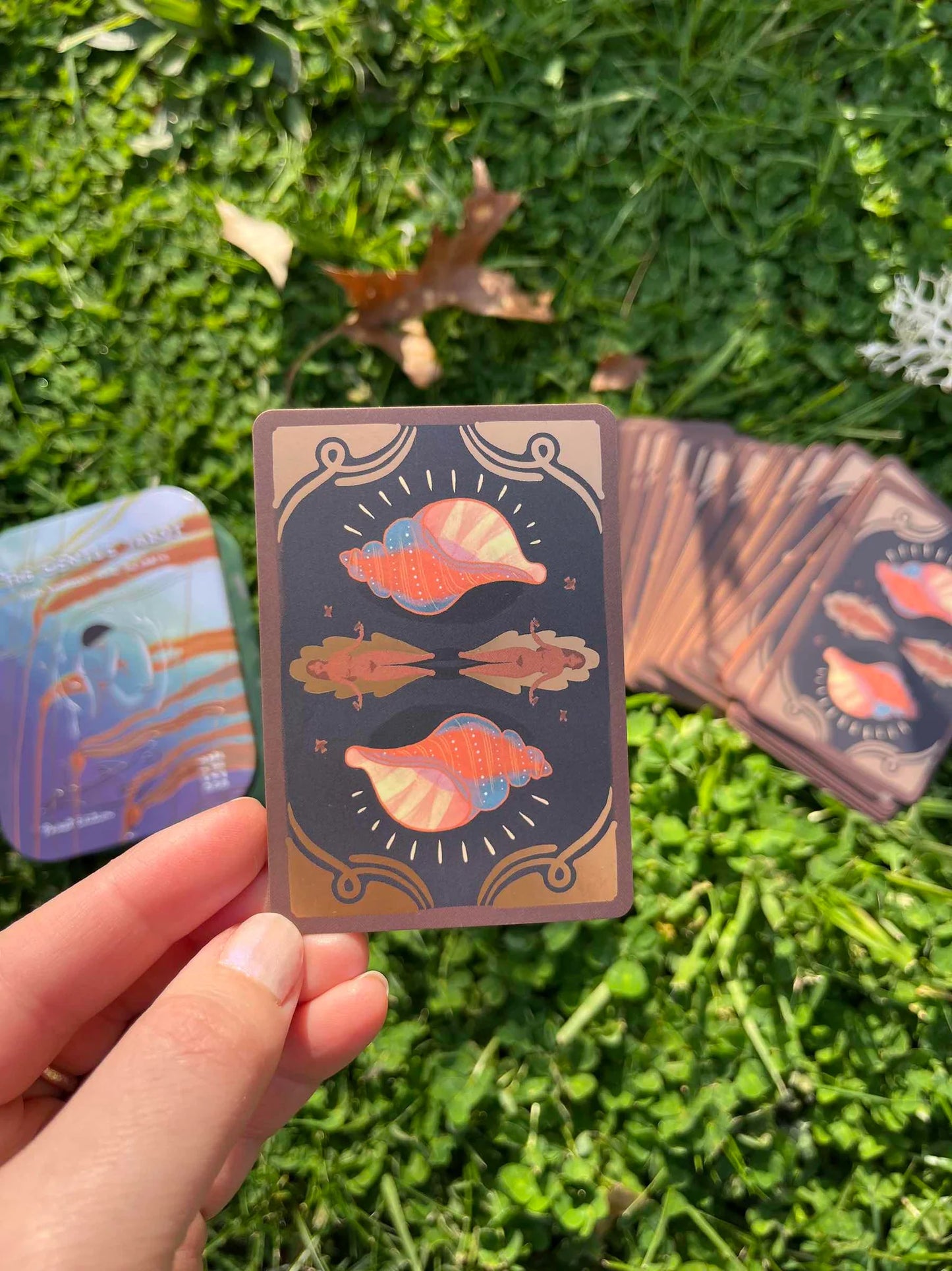 The Gentle Tarot Pocket Deck