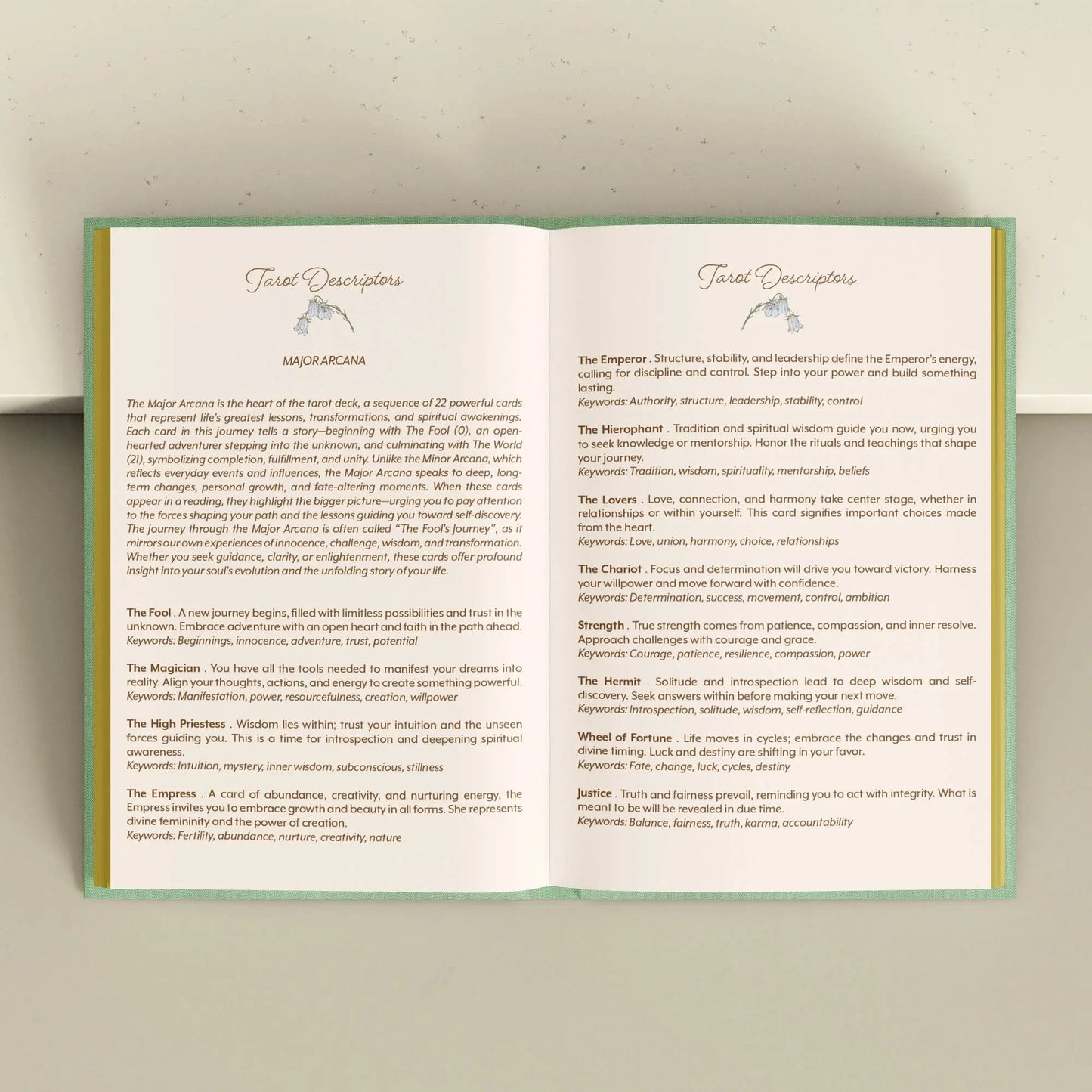 Open book with text on a light gray background Tarot Journal Bouchette and Co Oneness Emporium