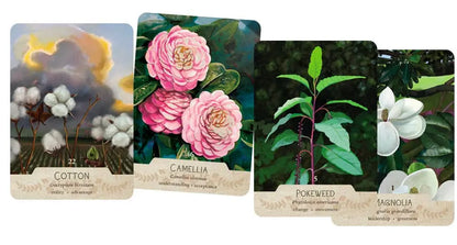 Set of four plant-themed cards with illustrations and text on a white background Southern botanical oracle cards deck Oneness Emporium 