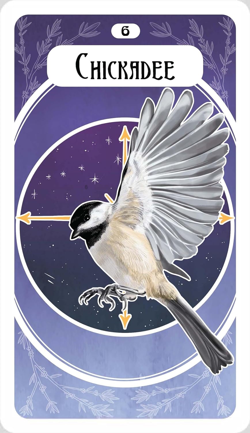 The Avian Oracle: A 45 Card Deck and Guidebook