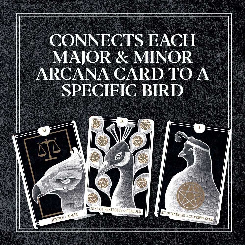 Avian Tarot