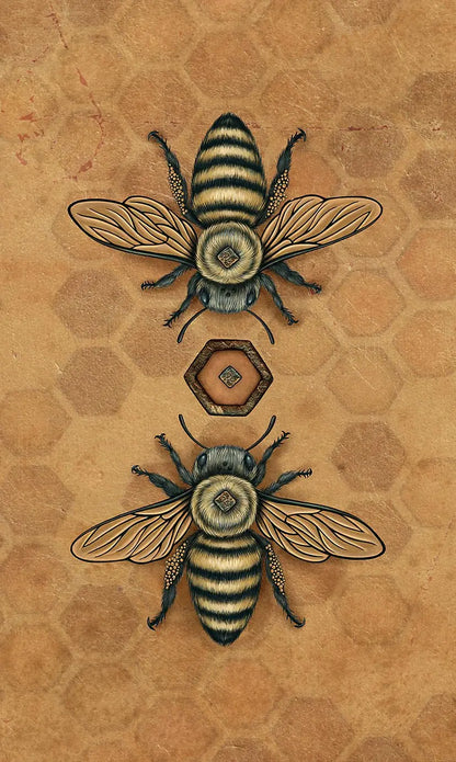 Bee Tarot by Kristoffer Hughes featuring beautiful bee-inspired artwork, honeycomb symbolism, nature themes, and a full-colour companion guidebook.