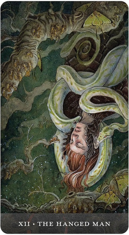 Blood Moon Tarot deck by Sam Guay with burgundy edged tarot cards and hardcover guidebook.