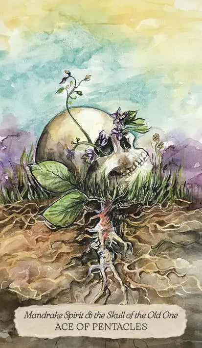 Card featuring a mandrake root and skull with plants, labeled 'Ace of Pentacles'.