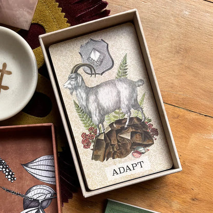 Coastal Curiosities Oracle Deck Naturalist Edition - With expansion pack - Oneness emporium