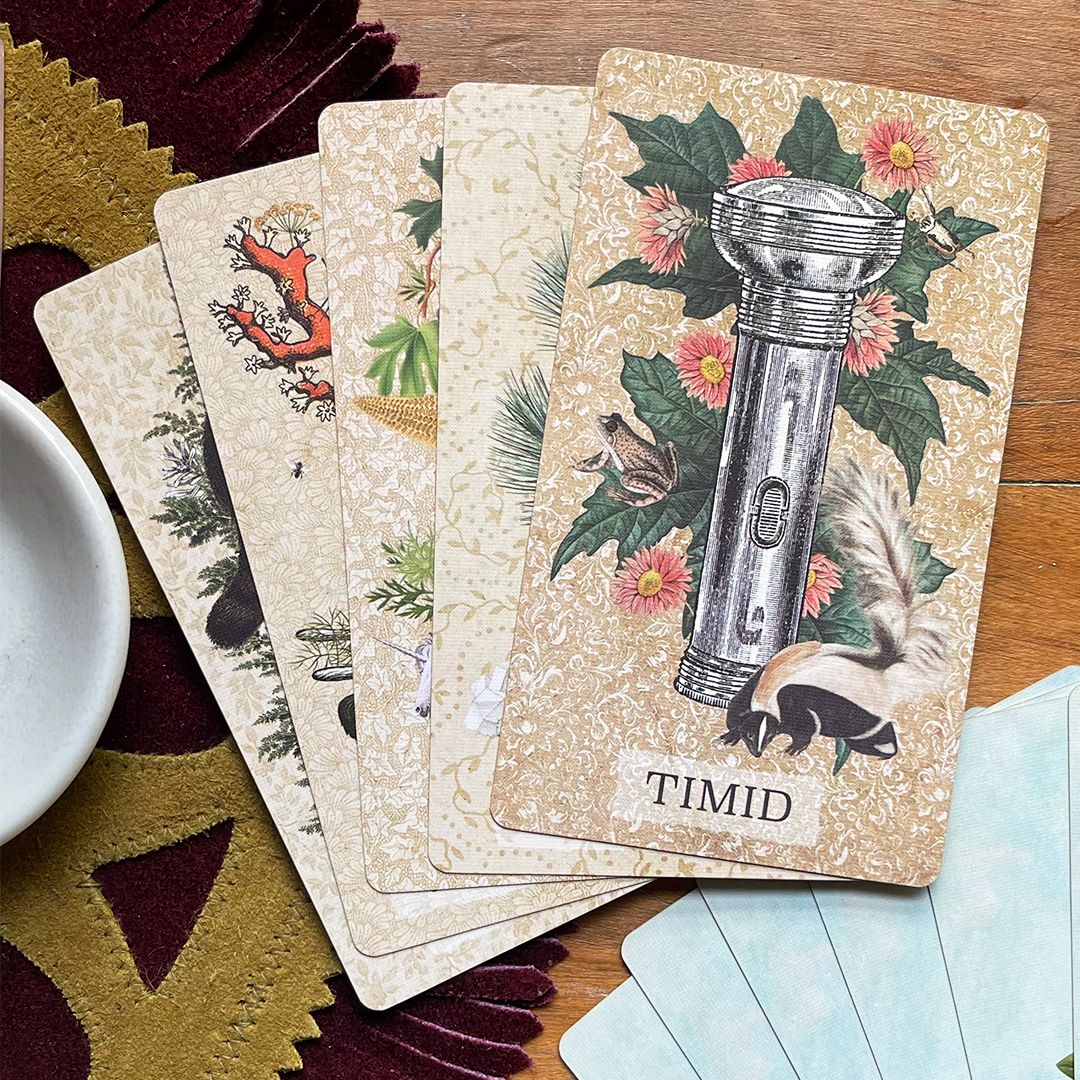 Coastal Curiosities Oracle Deck Naturalist Edition - With expansion pack