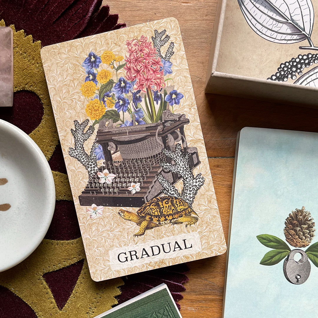 Coastal Curiosities Oracle Deck Naturalist Edition - With expansion pack