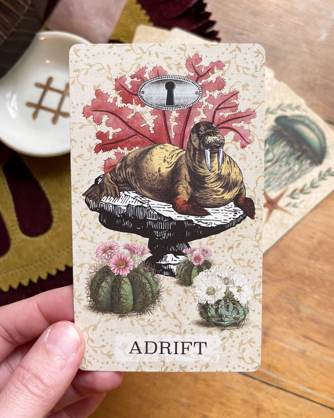 Coastal Curiosities Oracle Deck Naturalist Edition - With expansion pack