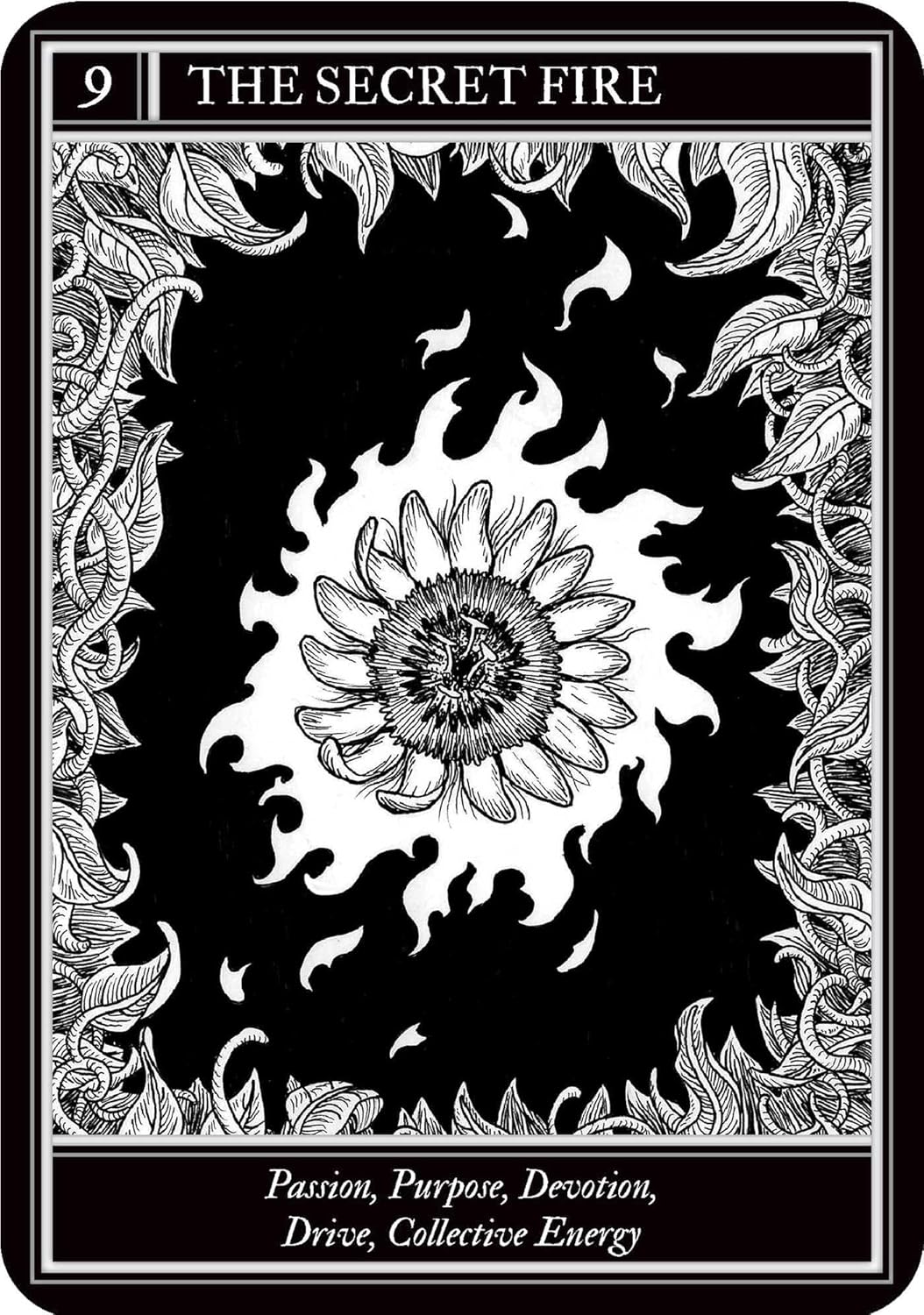Coven Oracle deck by Fiona Horne with illustrated witchcraft themed oracle cards and guidebook.