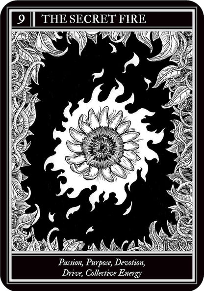 Coven Oracle deck by Fiona Horne with illustrated witchcraft themed oracle cards and guidebook.